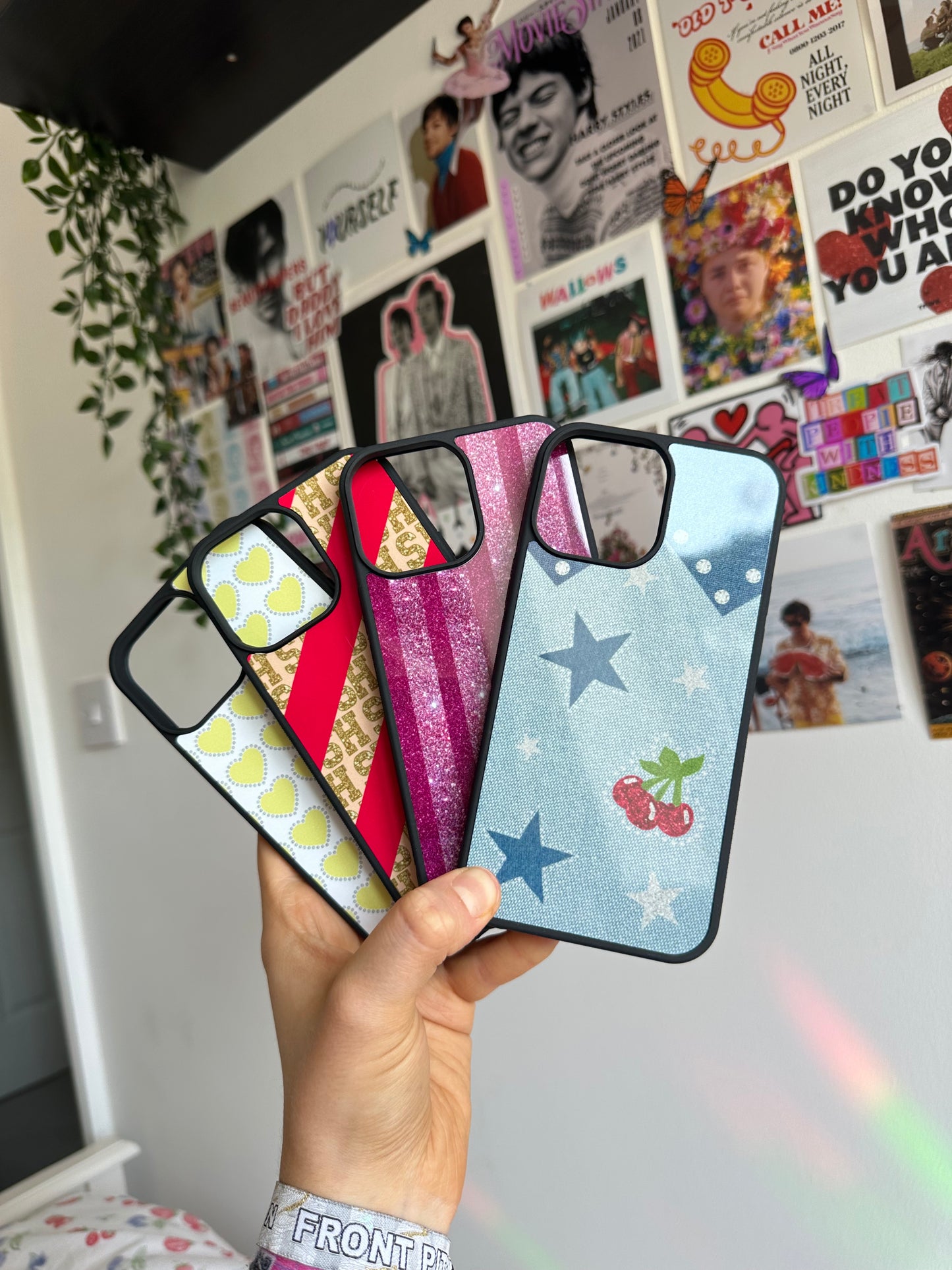 US and Canadian inspired cases